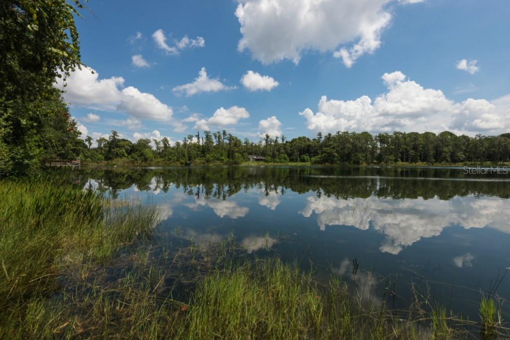 5581 Pine Hollow Tr., Oviedo, FL 32765