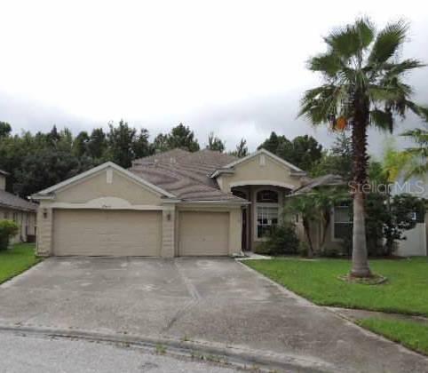 27645 Mulholland Ct., Wesley Chapel, FL 33544