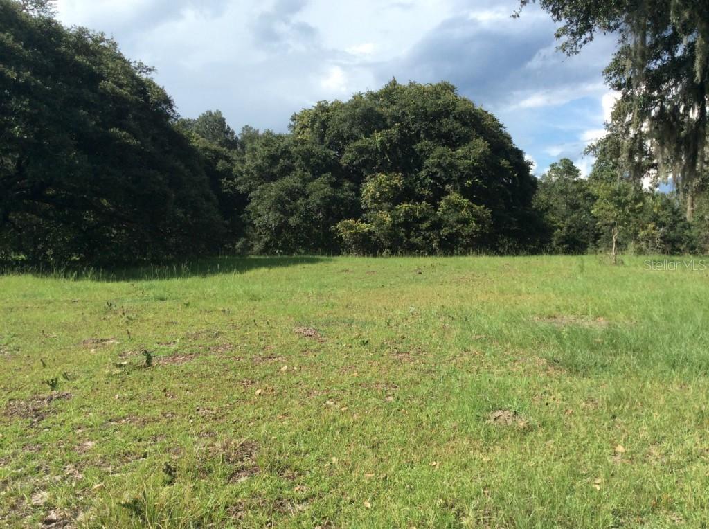 Holly Hill Extension, Davenport, FL 33837