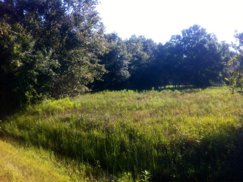 Rambler Ave., St Cloud, FL 34772