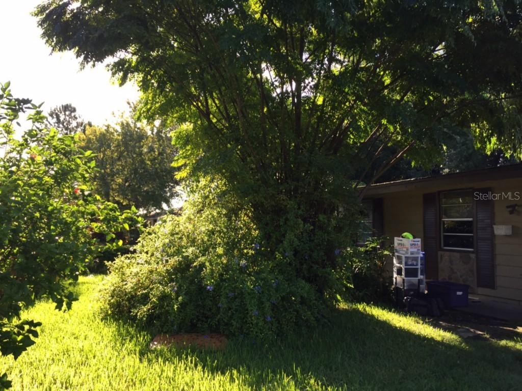 420 E Maple St., Winter Garden, FL 34787