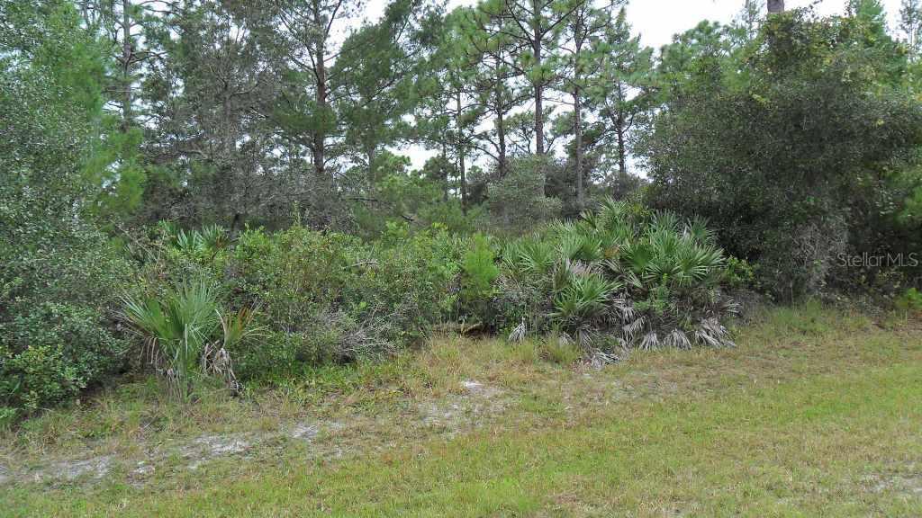 21842 Jingle Rd., Christmas, FL 32709