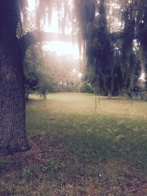113 E Ocean Ave., Edgewater, FL 32132