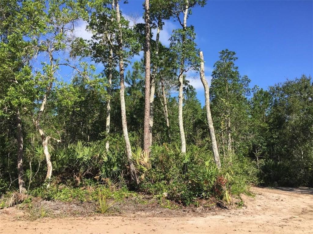 310 Western Rd., New Smyrna Beach, FL 32168