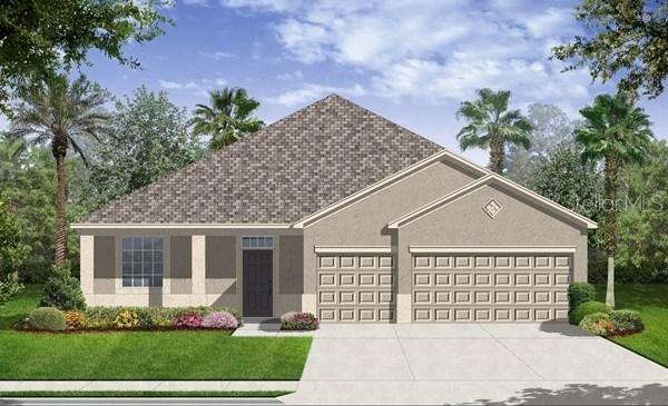10033 Celtic Ash Dr, Ruskin, FL 33573