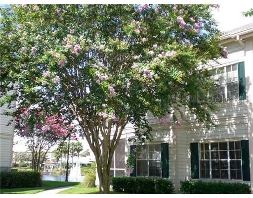 2328 Midtown Ter. #1018, Orlando, FL 32839