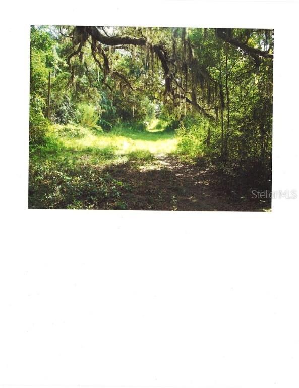 525 4th St., Oviedo, FL 32765