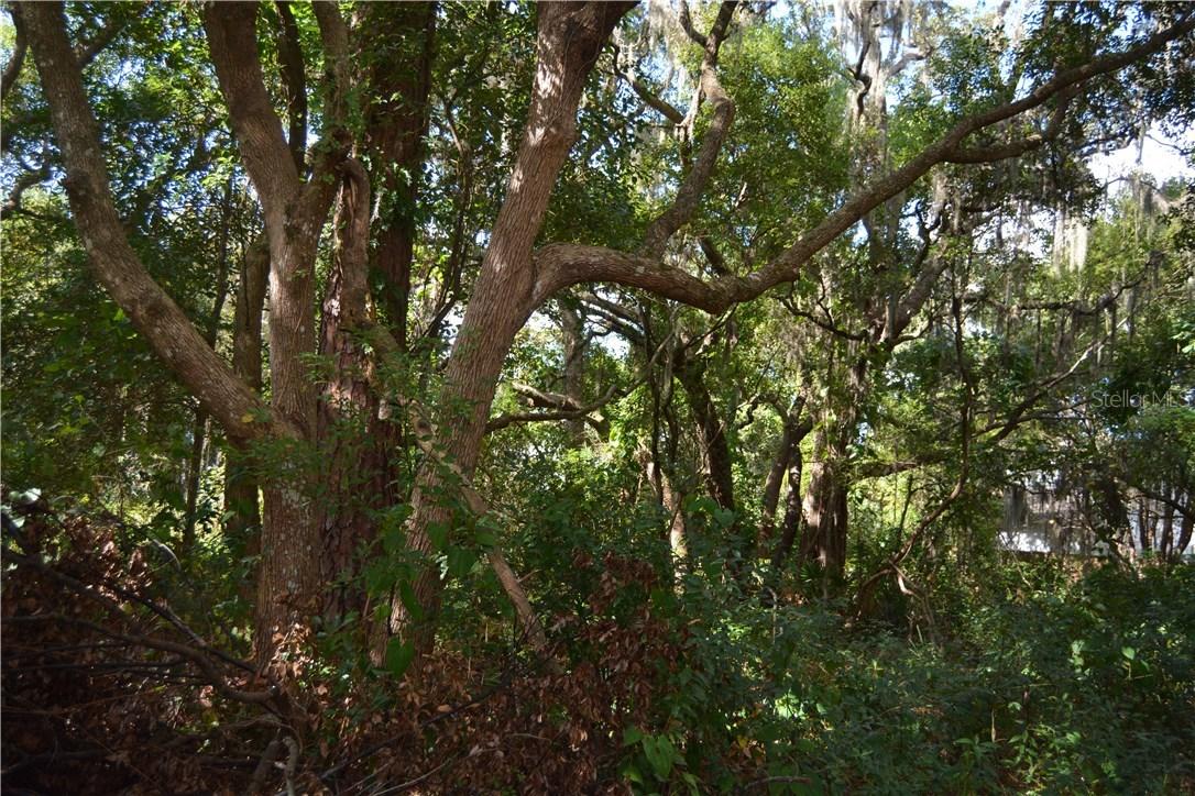 1389 Bunnell Rd., Apopka, FL 32703