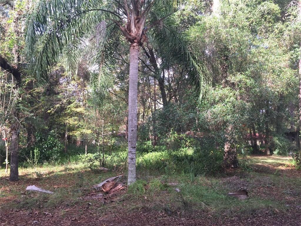 Baird Ave., Sorrento, FL 32776
