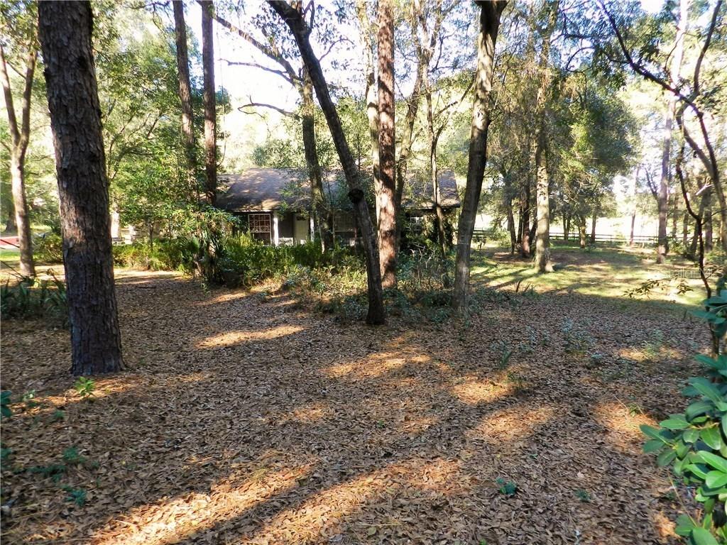 23845 Oak Tree Dr., Sorrento, FL 32776
