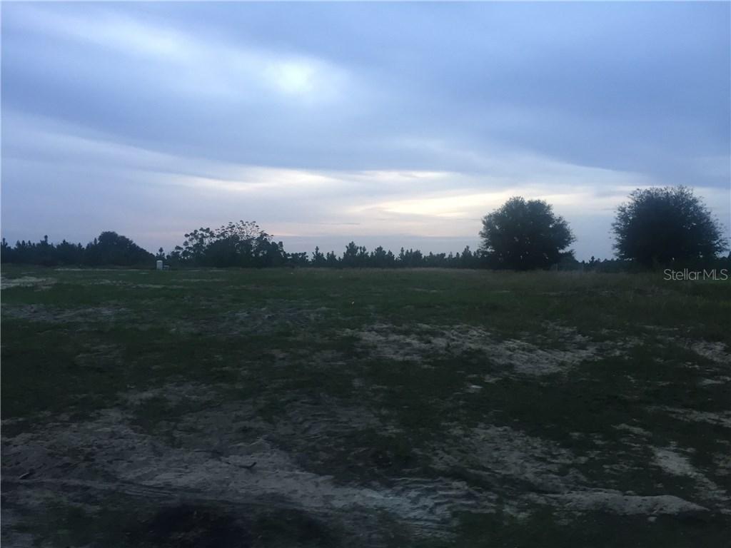 5916 Tangerine Reserve Ct., Mount Dora, FL 32757