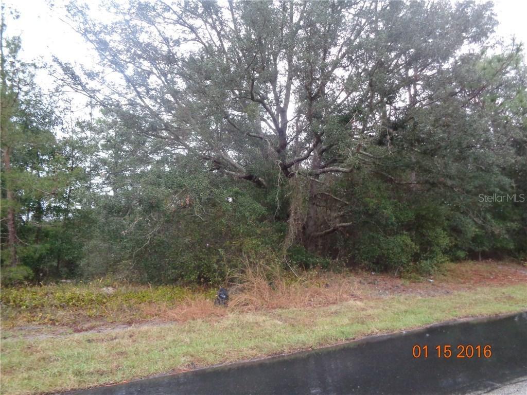 3410 Goldenhills St., Deltona, FL 32738