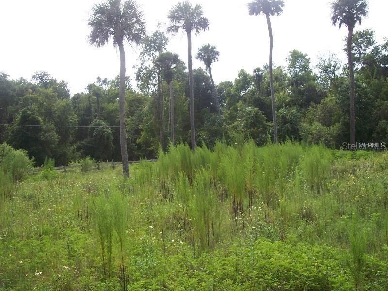 Adair Rd., Davenport, FL 33837