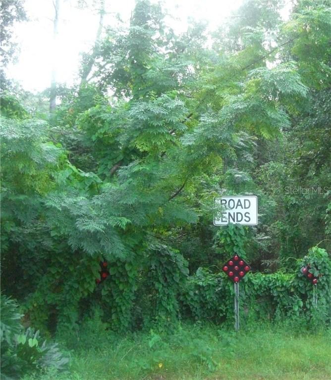 Marjorie Blvd., Longwood, FL 32750
