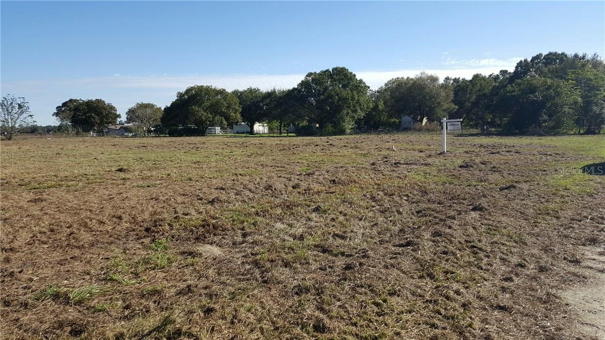 Shepherd, Saint Cloud, FL 34771