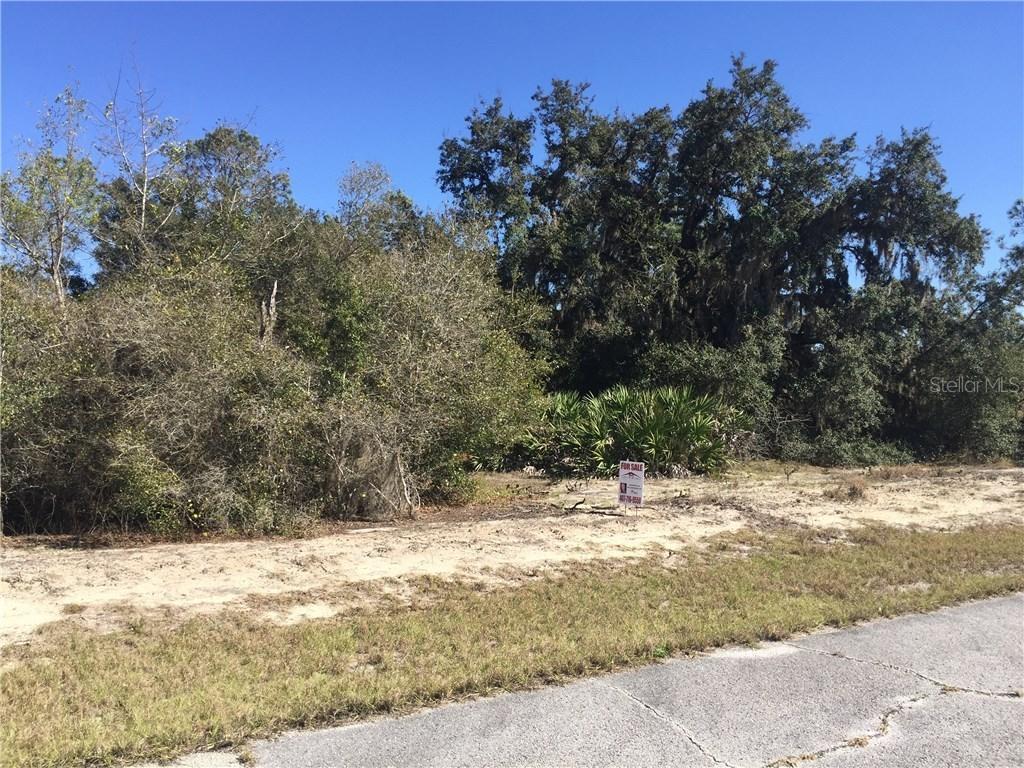 1307 St Augustine Ct., Poinciana, FL 34759
