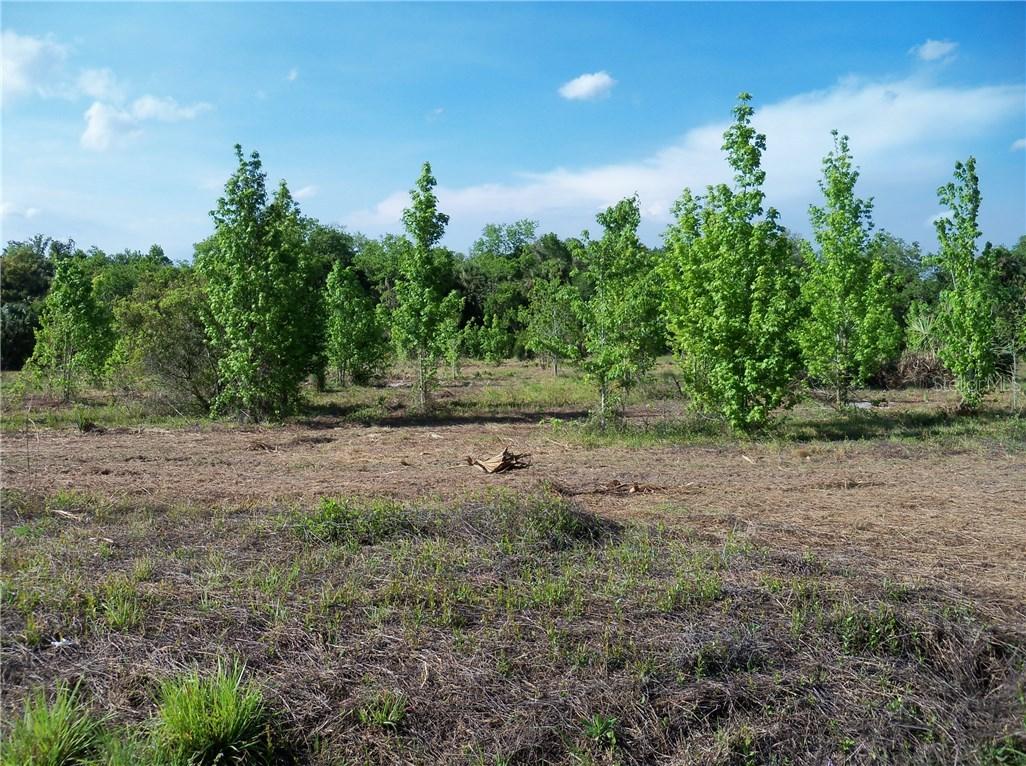 1780 N County Road 426, Oviedo, FL 32765
