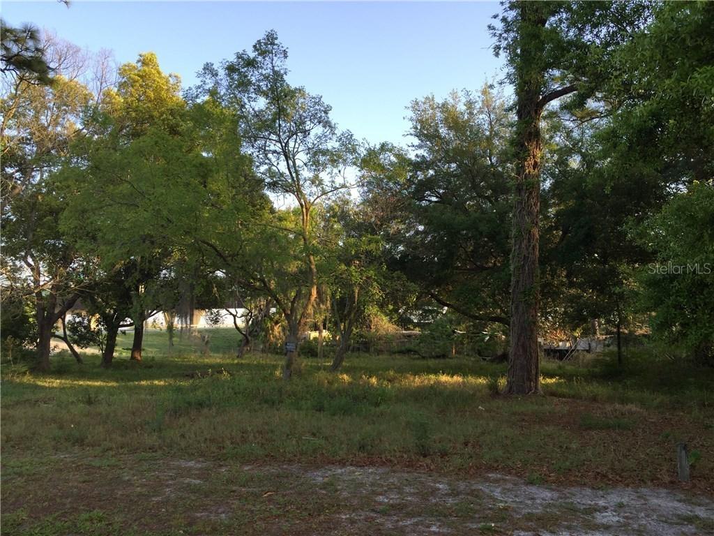 3021 Overland Rd., Apopka, FL 32703