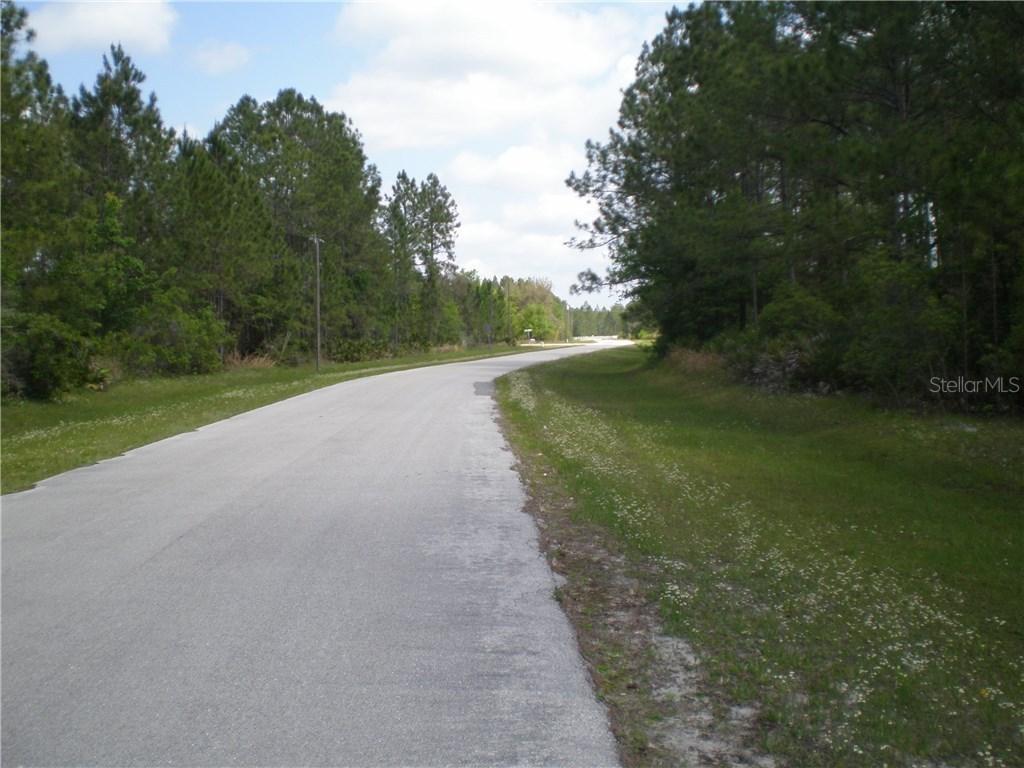 1214 Hidden Palms Dr., Davenport, FL 33897