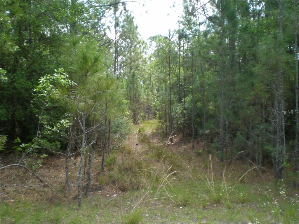 1204 Hidden Palms Dr., Davenport, FL 33897