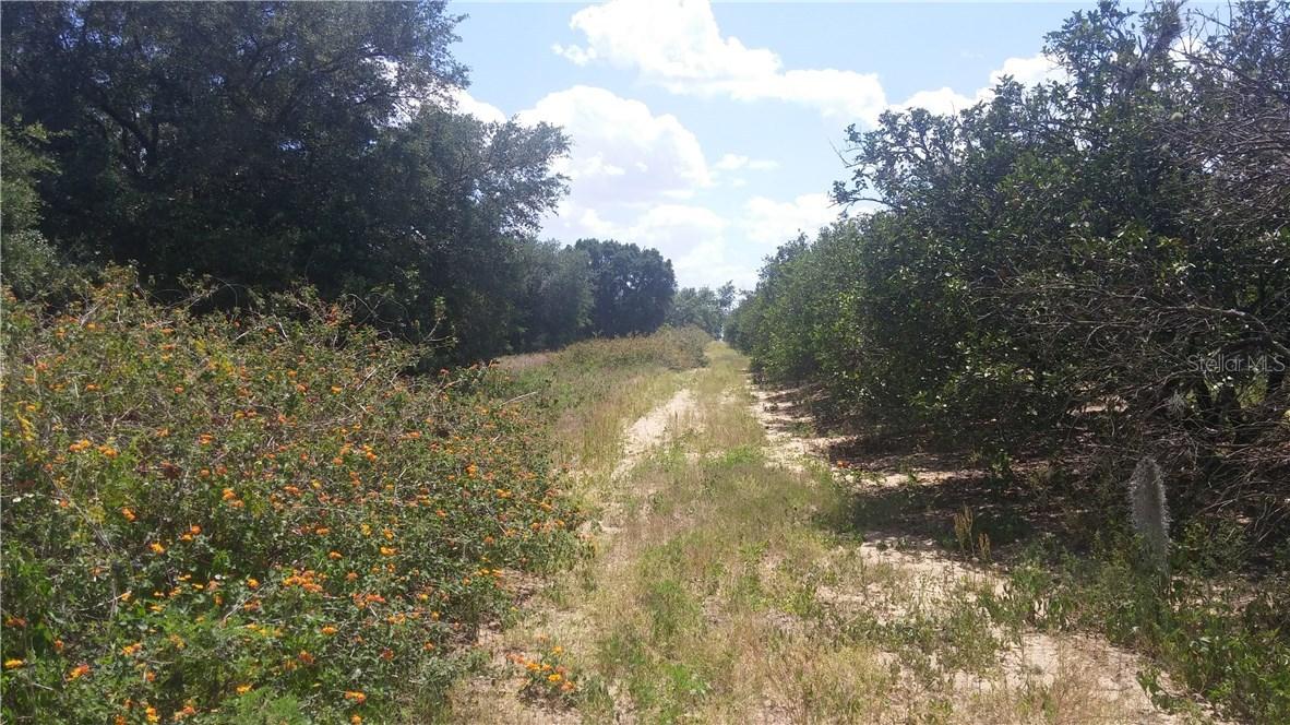 Holly Hill Grove Rd., Davenport, FL 33837