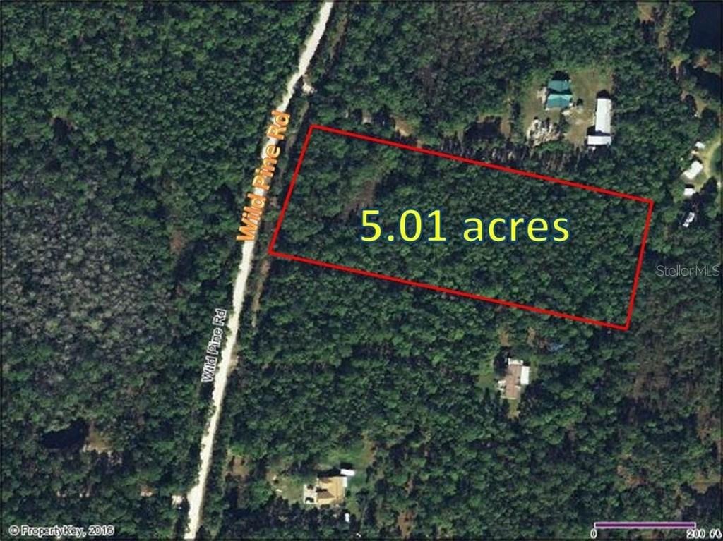 911 Wild Pine Rd., Mims, FL 32754