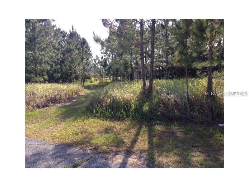 1347 Congo Dr., Poinciana, FL 34759