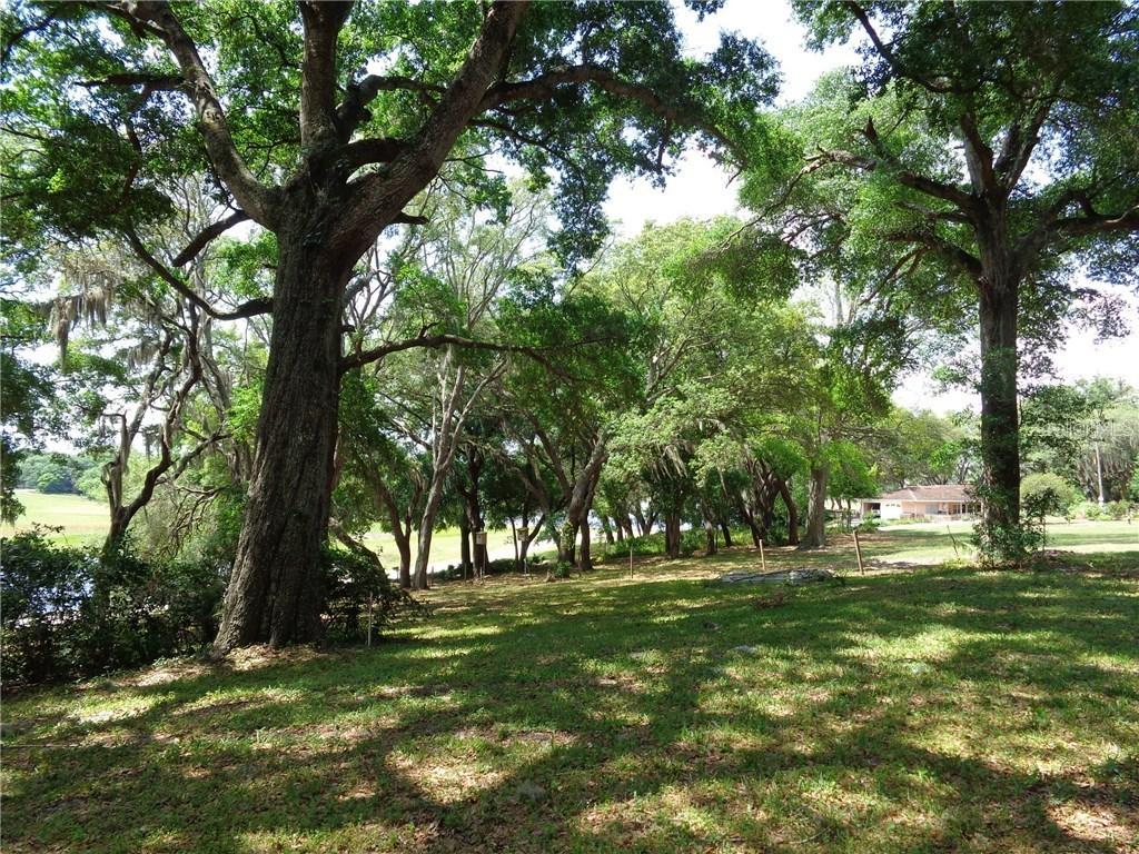 Lake Florence Blvd., Orlando, FL 32818