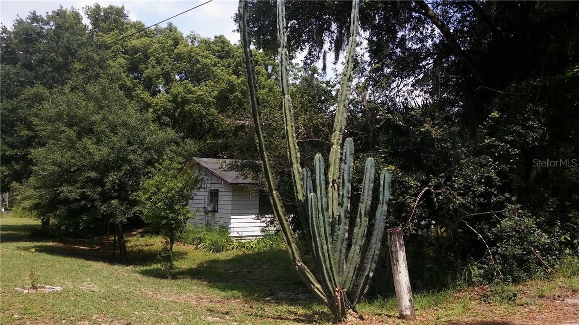 310 1st St., Ocoee, FL 34761