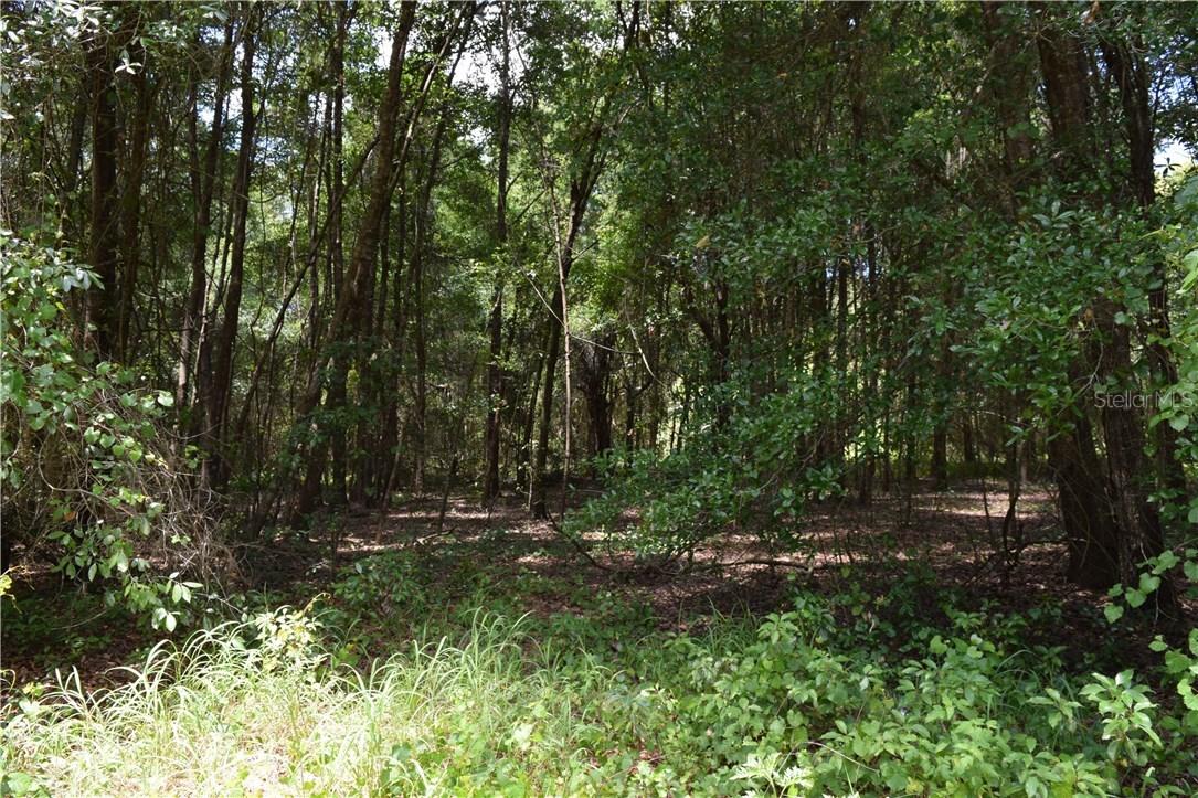 724 Pine St., Ocoee, FL 34761