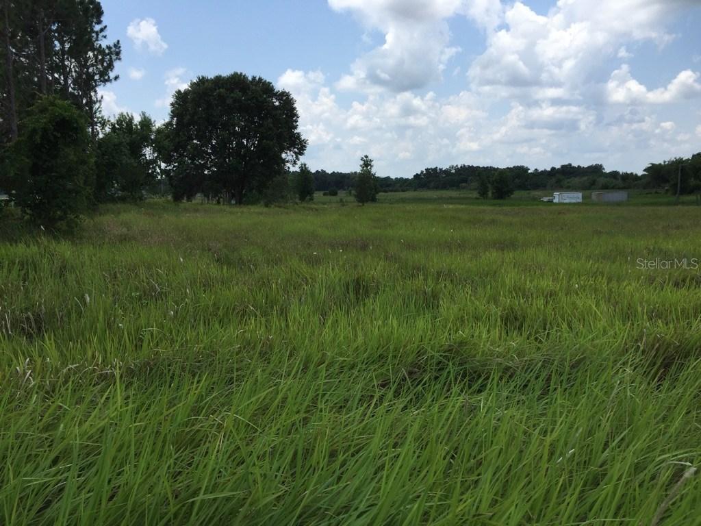 16812 W Phil C Peters Rd., Winter Garden, FL 34787