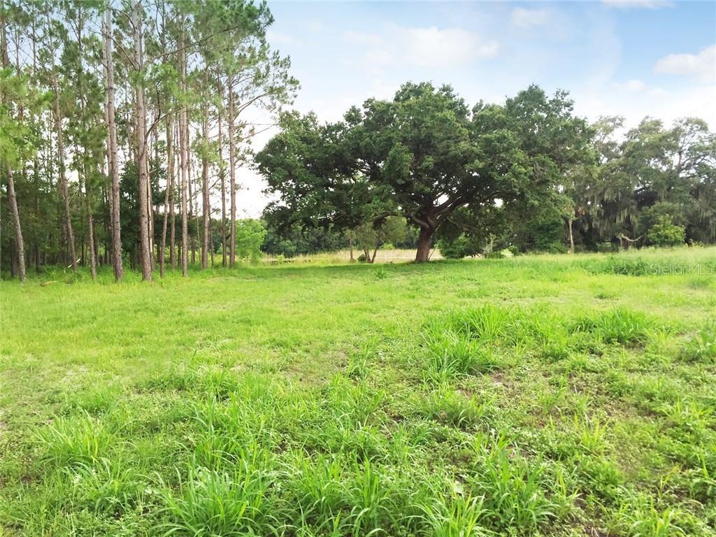 237 Sagecrest Dr., Ocoee, FL 34761