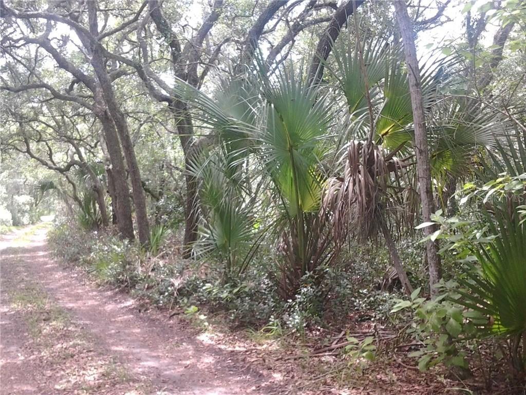 Douglas St., Chuluota, FL 32766