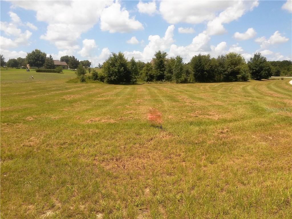 18328 Great Blue Heron Dr., Groveland, FL 34736