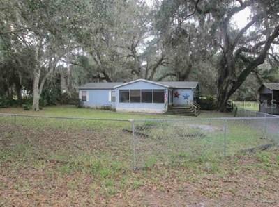 4407 County Road, Wildwood, FL 34785