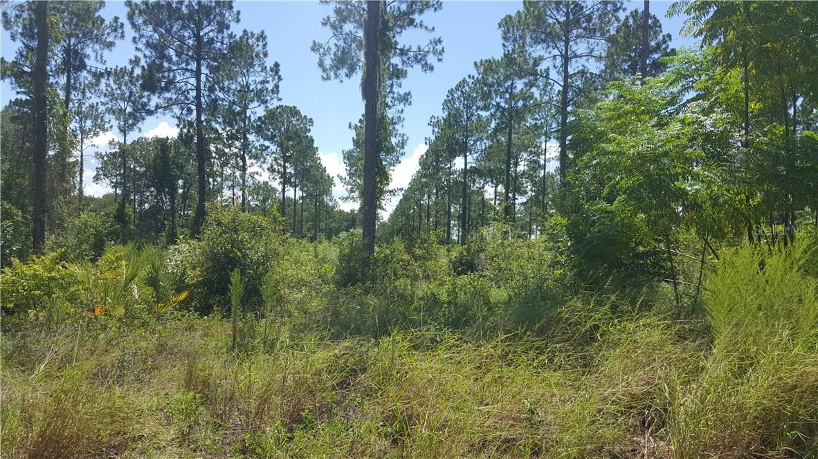 810 S Binion Rd., Apopka, FL 32703