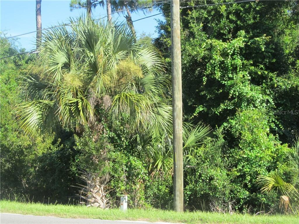 242 Dirksen Dr., DeBary, FL 32713