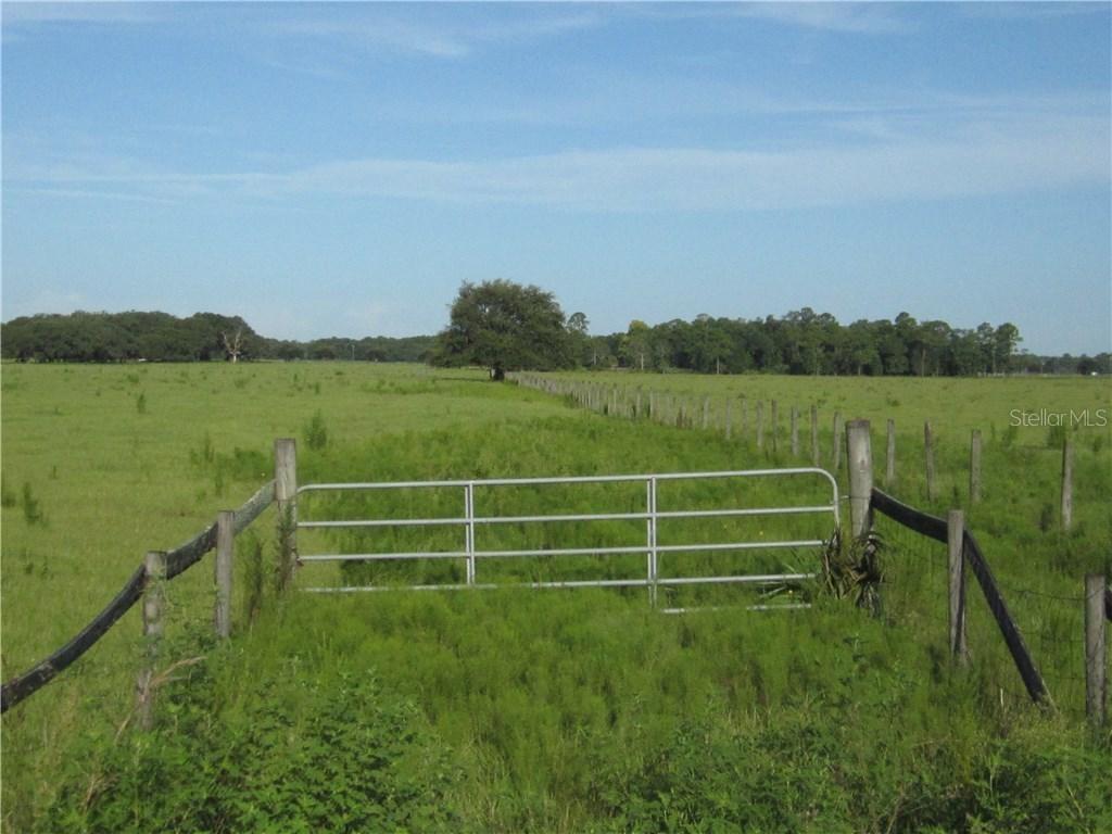 County Road 439, Umatilla, FL 32784