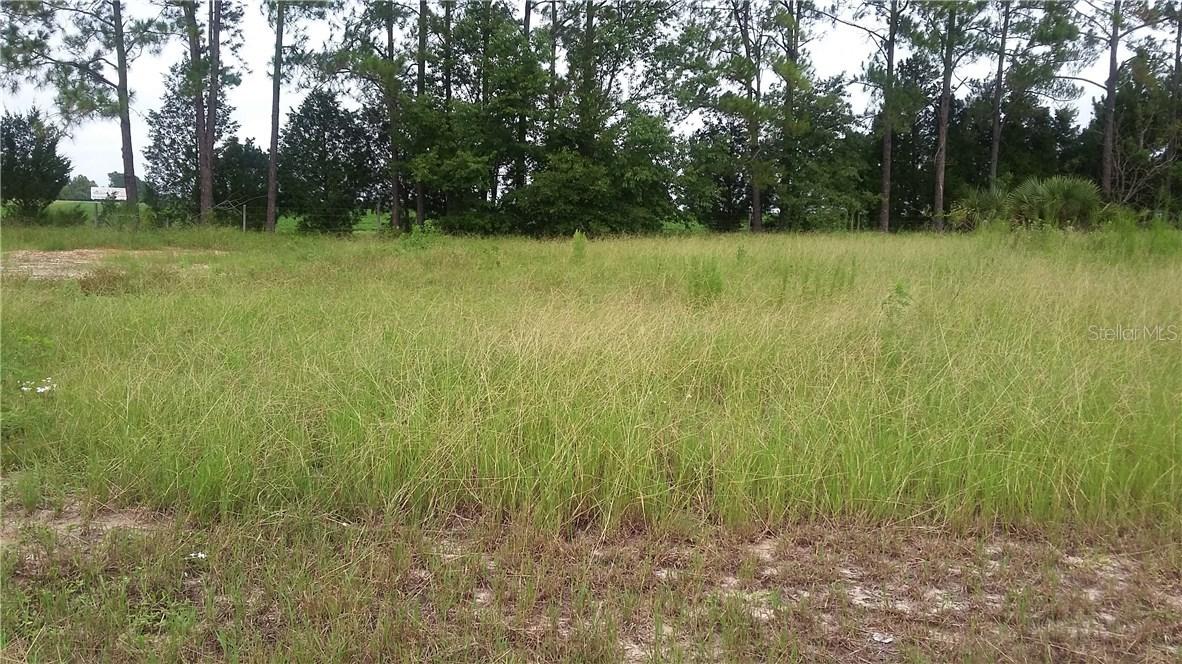 Sw 134th Loop, Ocala, FL 34473