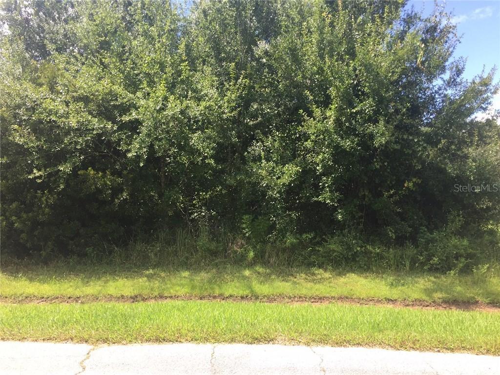 Raven Ct., Poinciana, FL 34759