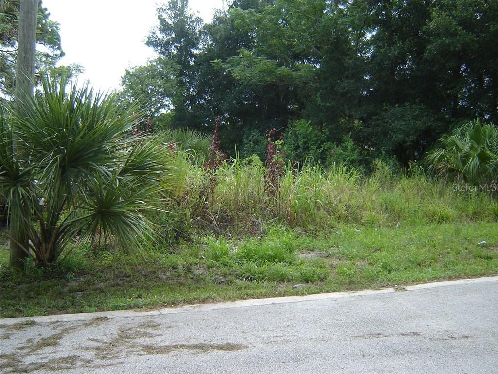 Chinaberry Ave., Oviedo, FL 32765