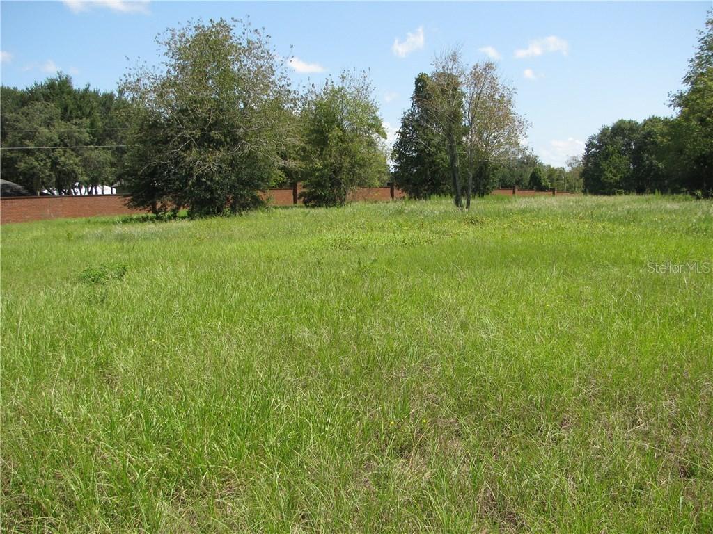 18556 Watercrest Ct., Groveland, FL 34736