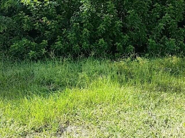924 Tropical Ave., Port Charlotte, FL 33948
