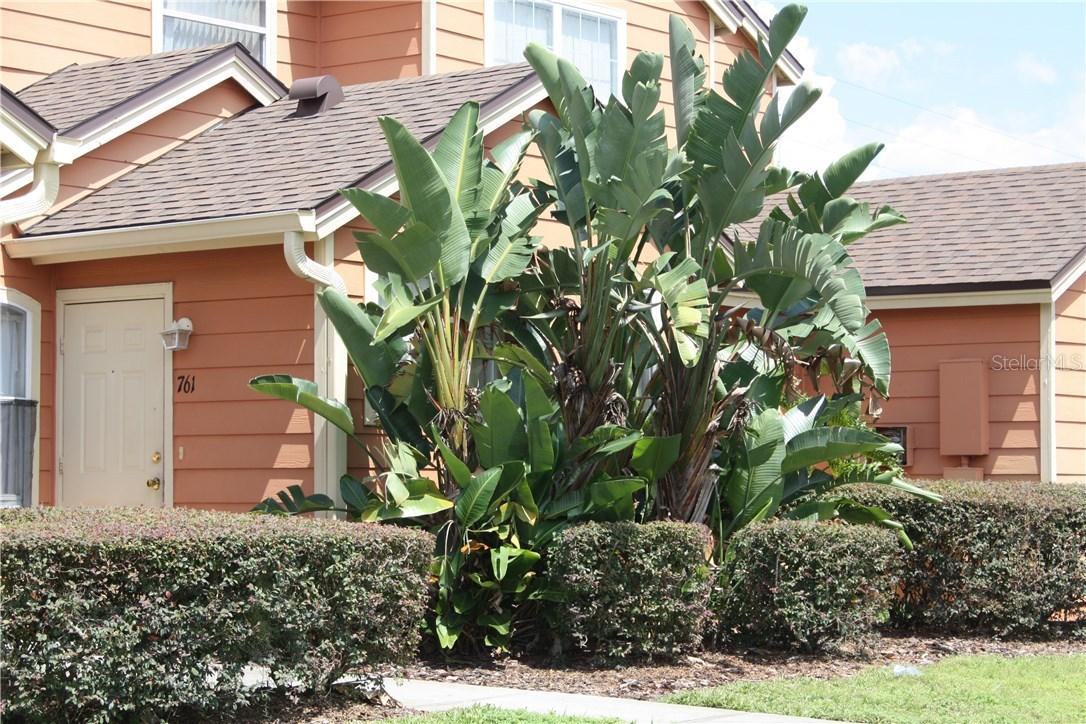 761 Caribbean Dr., Davenport, FL 33897