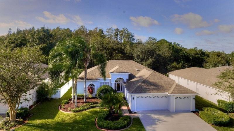 21200 Tyrell Way, Land O Lakes, FL 34638
