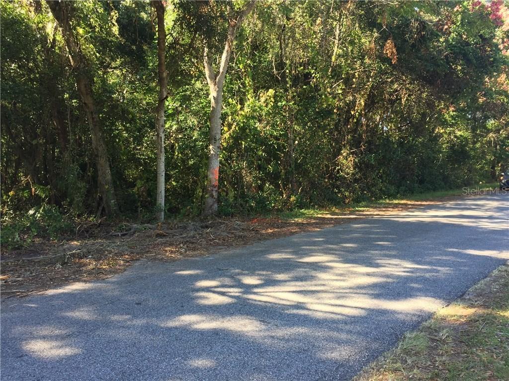 Avenue D, Geneva, FL 32732