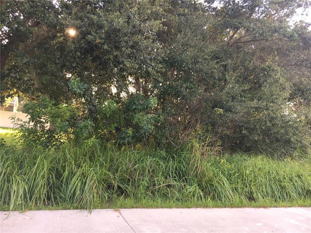 911 Gascony Ct., Kissimmee, FL 34759