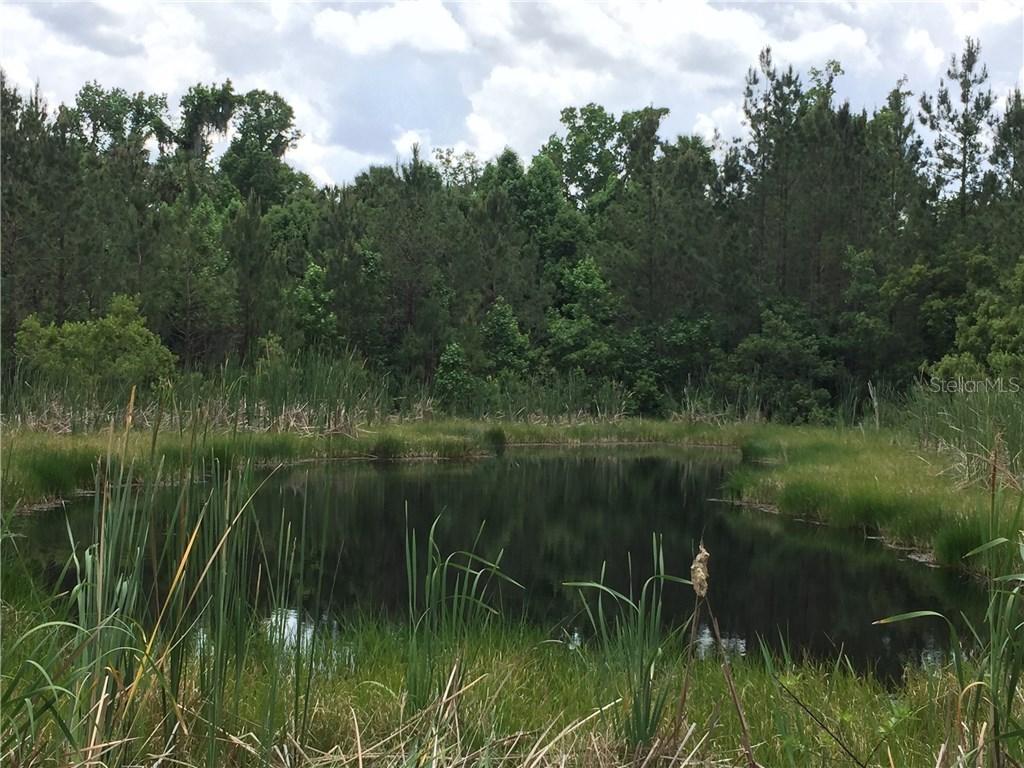 North Carolina Run #004G, Sanford, FL 32773