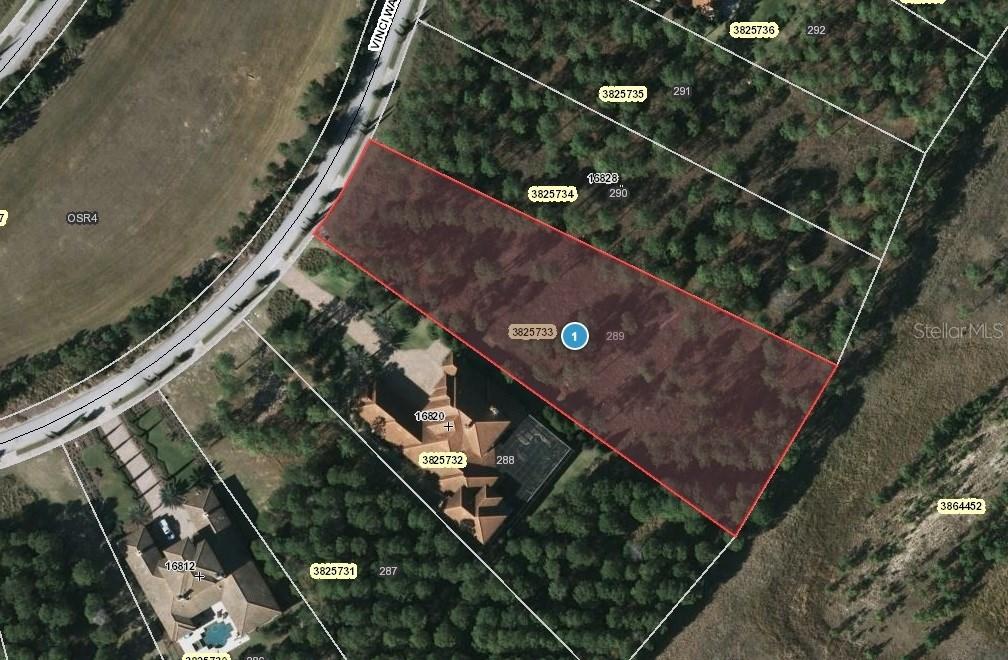 16824 Vinci Way, Montverde, FL 34756