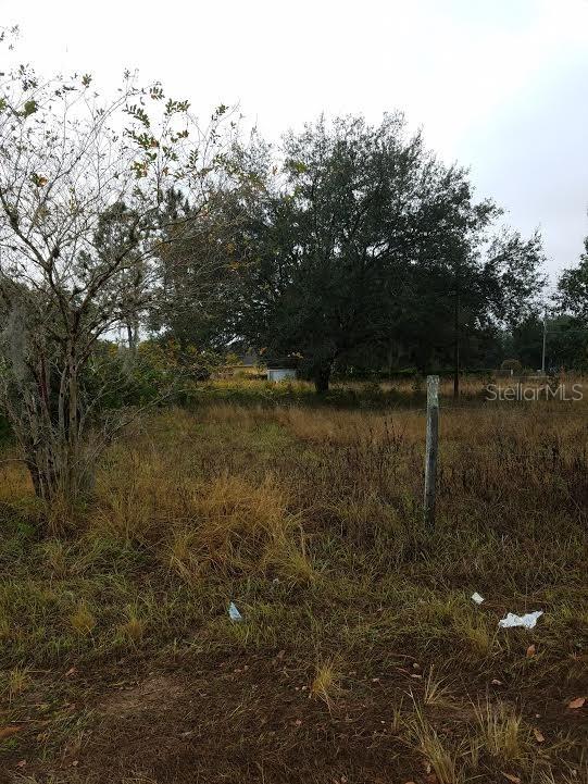 Holly Hill Grove Rd., Davenport, FL 33837